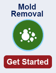mold remediation in Kissimmee TN